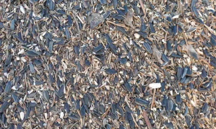 Закупаем отходы подсолнечника деловые - фото № 1