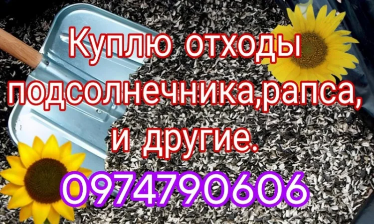 Закупаем деловые и мертвые отходы подсолнуха рапса сои и другие - фото № 1