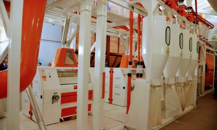 Зерносуміш з млина - фото № 6