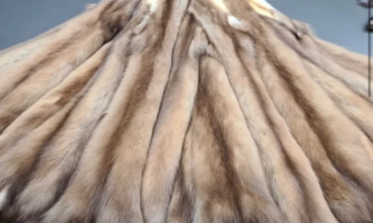 Купуємо купою шкіри куниць - фото № 1