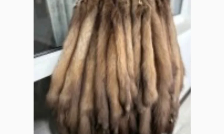 Най дороще куплю шкури куниць - фото № 1