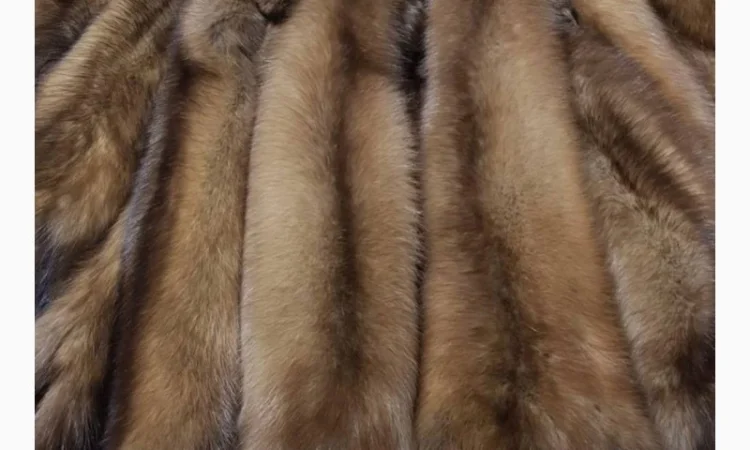 Куплю шкуры куницы, енота, кролика и лисицы - фото № 1