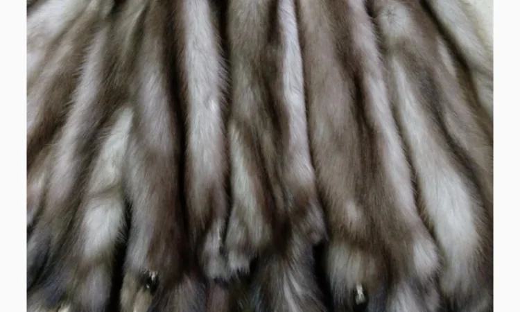 Купуємо шкури куниці та інших тварин - фото № 1