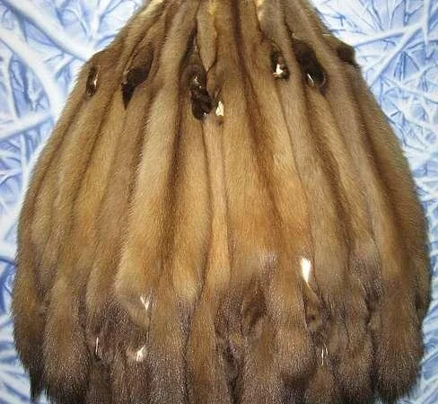 Покупаем мех куницы - фото № 1