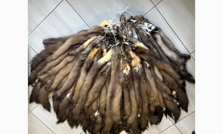 Продаж хутра куниці в наявності - фото № 1