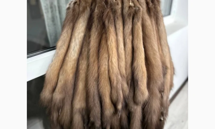 Купую шкури куниці - фото № 1