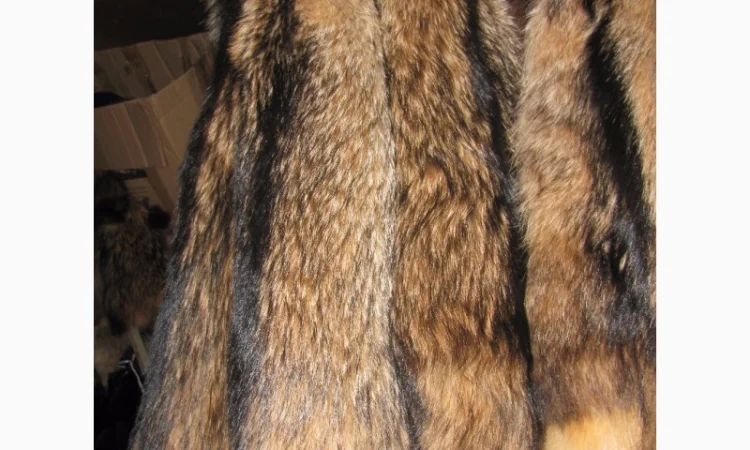 Продам шкуры енота - фото № 1