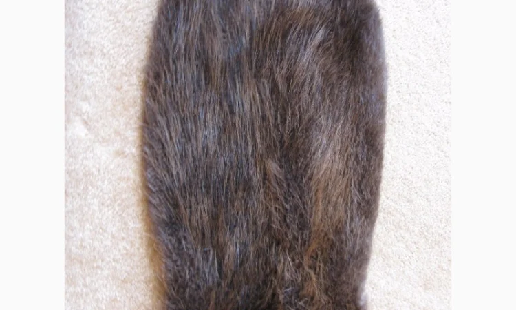 Продам шкуры бобра - фото № 2