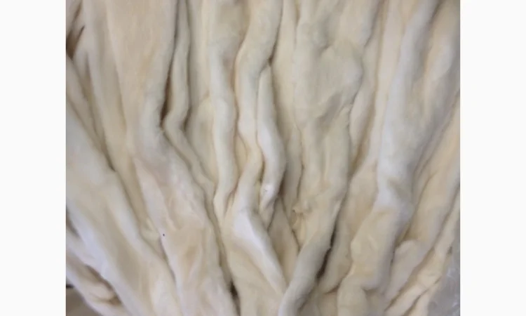 Норка.Шкуры норки - фото № 2