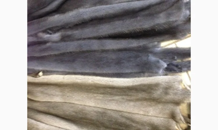 Норка.Шкуры норки - фото № 4