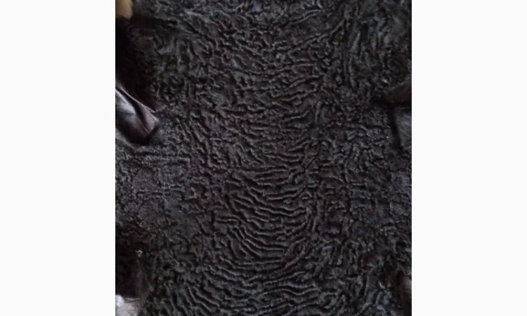 Продаются шкуры каракульчи - фото № 1