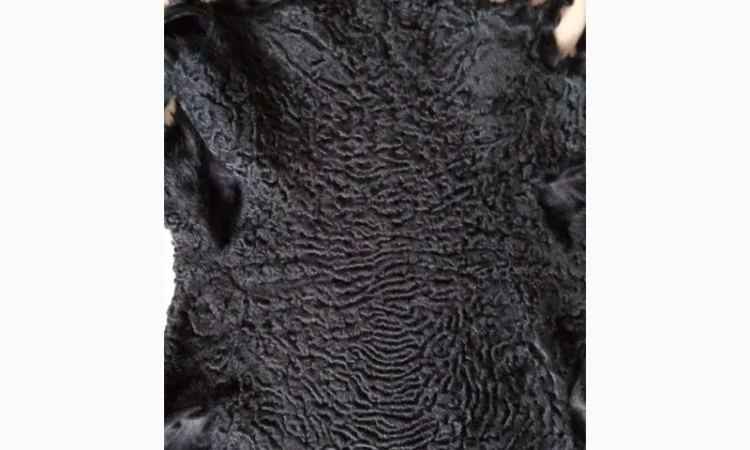 Продаются шкуры каракульчи - фото № 2