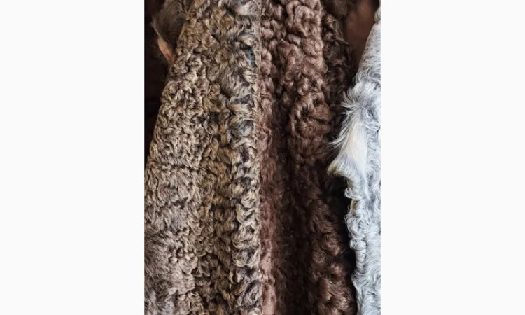 Продаются шкуры каракульчи - фото № 3