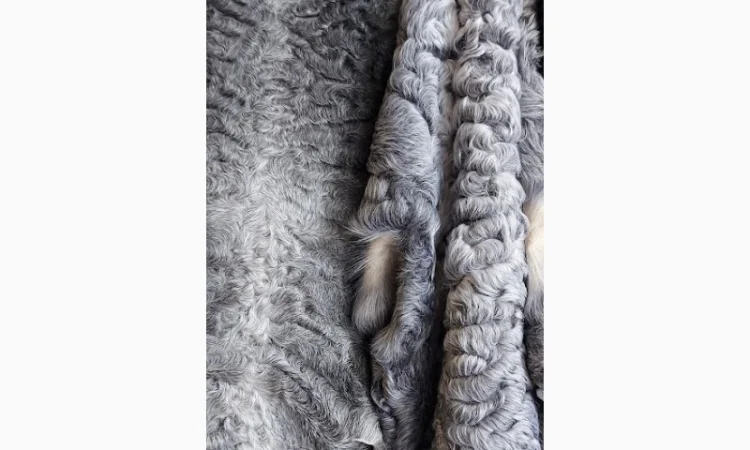 Продаются шкуры каракульчи - фото № 4