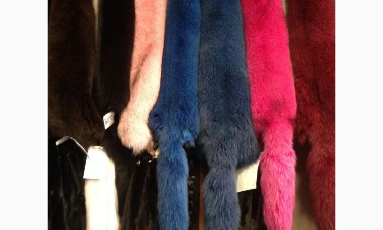 Продаются шкуры песца в различных цветах - фото № 1