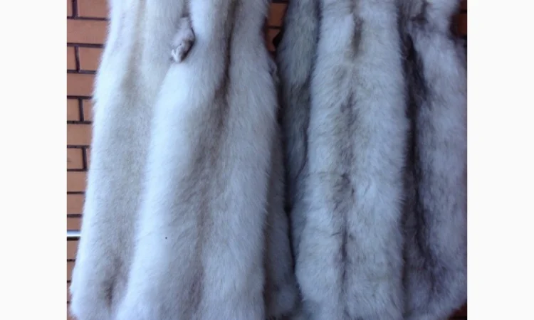 Продаются шкуры песца в различных цветах - фото № 2
