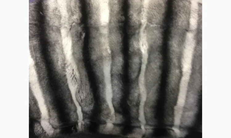 Шкуры кролика рекс - цветные и белые - фото № 4