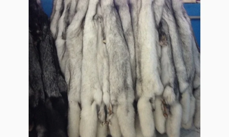 Шкуры вуалевого песца оптом - фото № 1