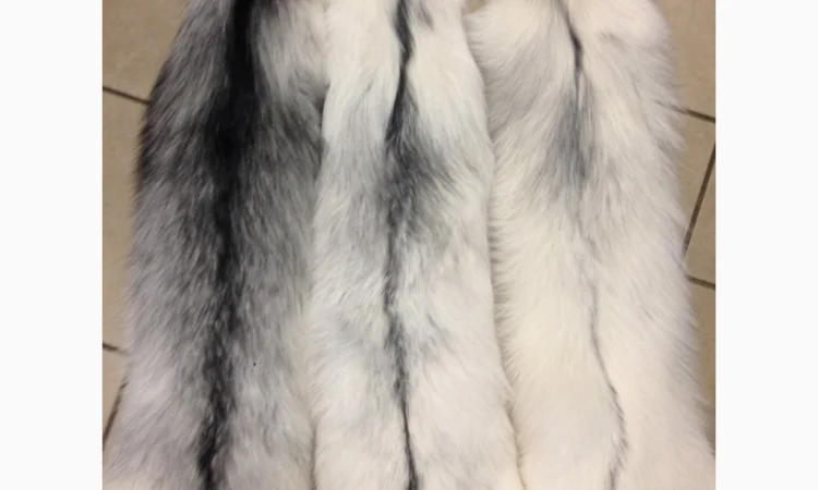 Отбеленные шкуры арктической лисы - фото № 1