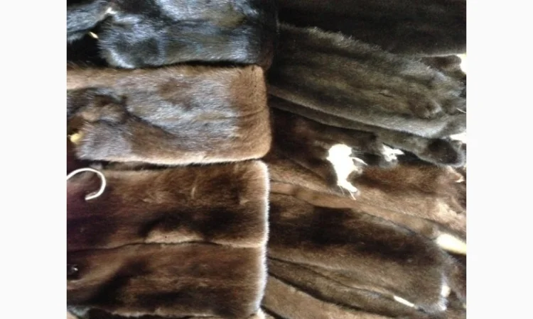 Норка.Шкуры норки для ремонта шуб - фото № 2