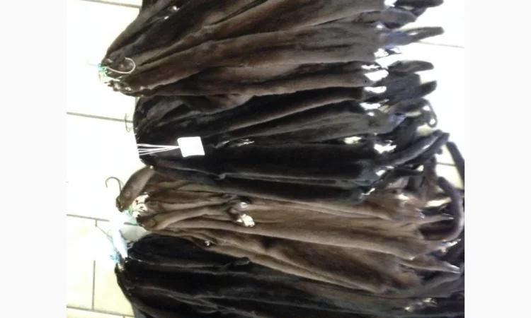 Норка.Шкуры норки для ремонта шуб - фото № 3