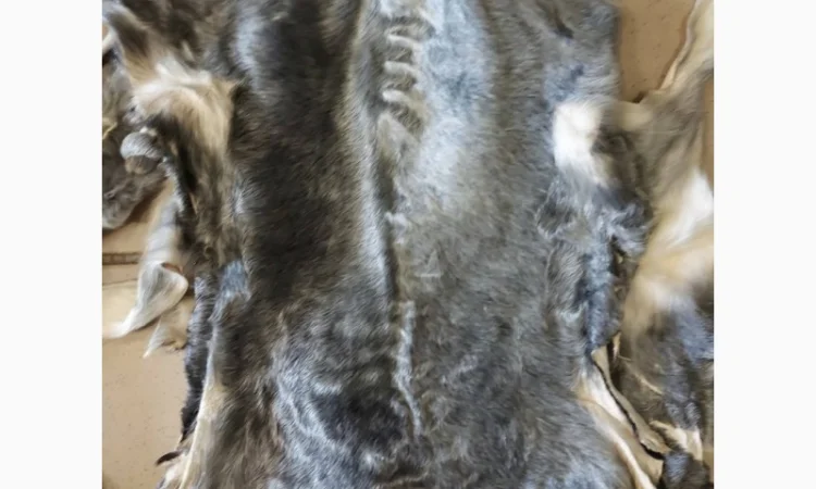 Продаются шкурки каракульчи - фото № 1