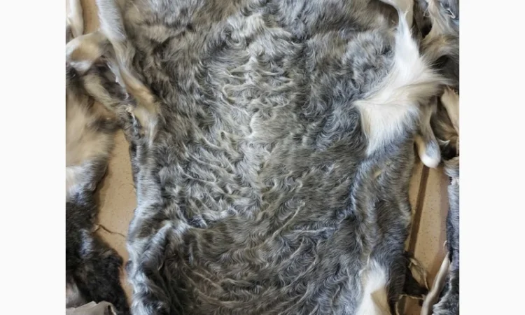 Продаются шкурки каракульчи - фото № 3