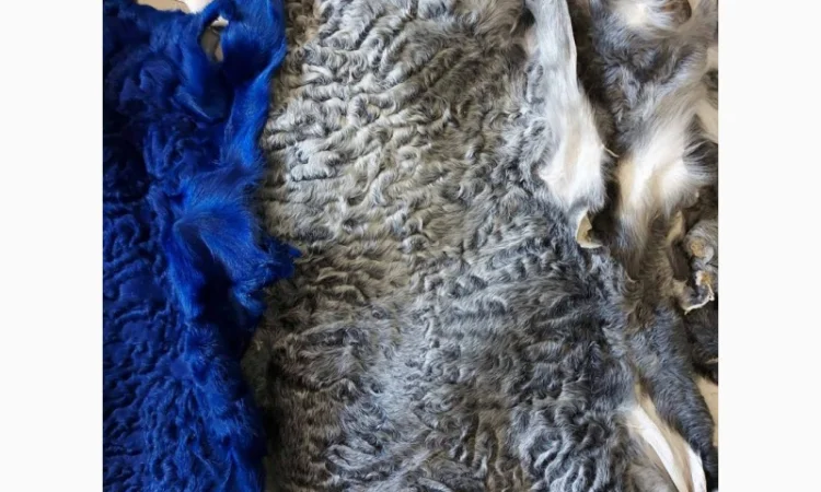 Продаются шкурки каракульчи - фото № 5