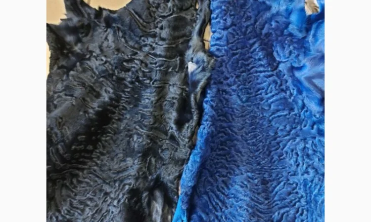 Продаются шкурки каракульчи - фото № 6