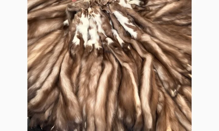 Продаются шкурки куницы и камянки - фото № 2