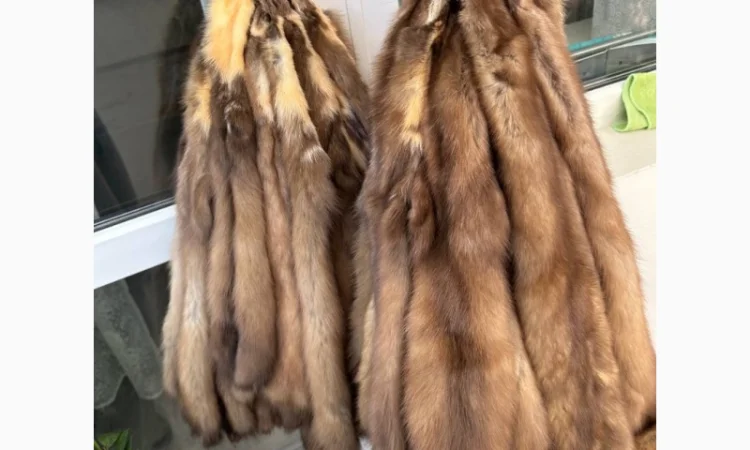 Продаются шкурки куницы и камянки - фото № 6