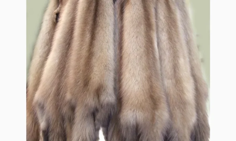 Покупаем шкурки куницы дорого – предложим лучшие цены - фото № 1