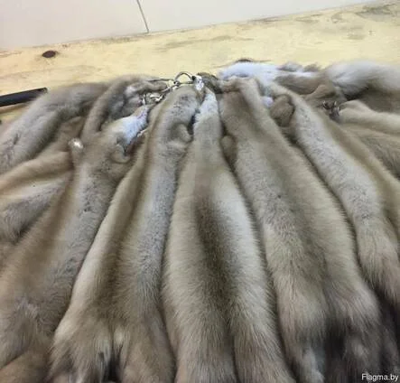 Куплю шкуры бобра и куницы - фото № 1