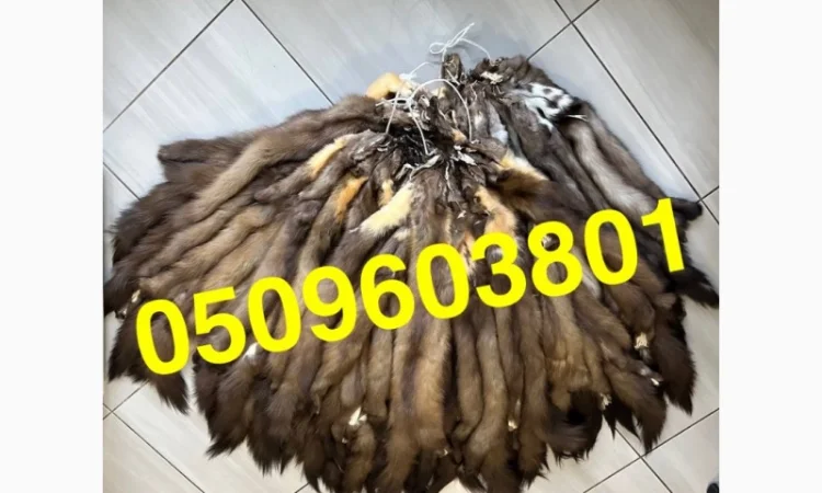 Вичиненные шкурки куницы (заводская вичинка) - фото № 1