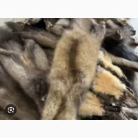 Купуємо хутро куниці - фото № 1