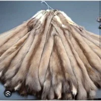 Скупка меха куницы и бобра - фото № 1