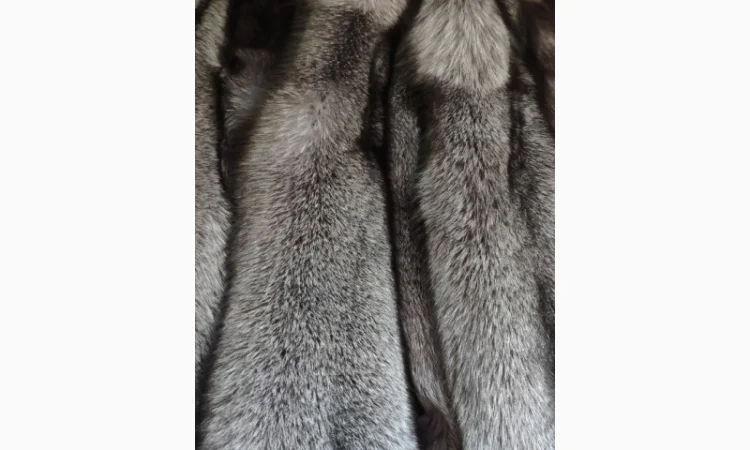 Продается шкуры Блю Фрост различных размеров - фото № 1