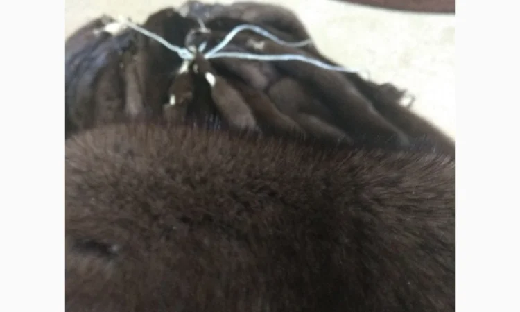 Продажа шкурки норки Браун (ореховый цвет) - фото № 1