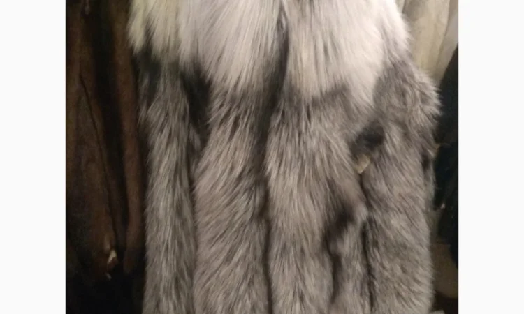 Чёрнобурка Silver Fox – мех в продаже - фото № 2