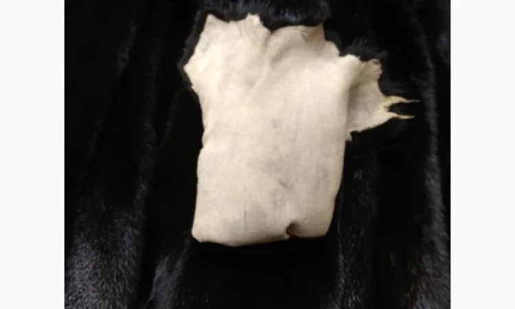 Продается норка черного цвета, натуральный велюр - фото № 1
