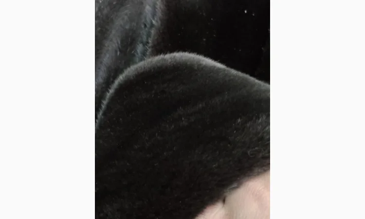 Продается норка черного цвета, натуральный велюр - фото № 3