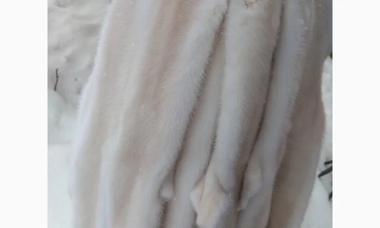 Продается норка жемчуг натуральная - фото № 1