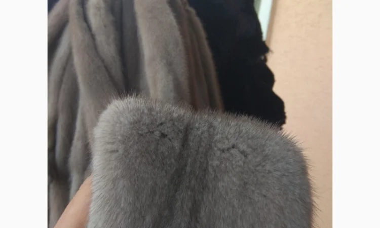 Продается норка сіроголуба (silverblue) - фото № 2