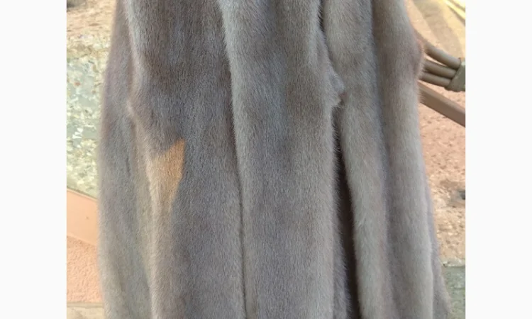 Продается норка сіроголуба (silverblue) - фото № 3