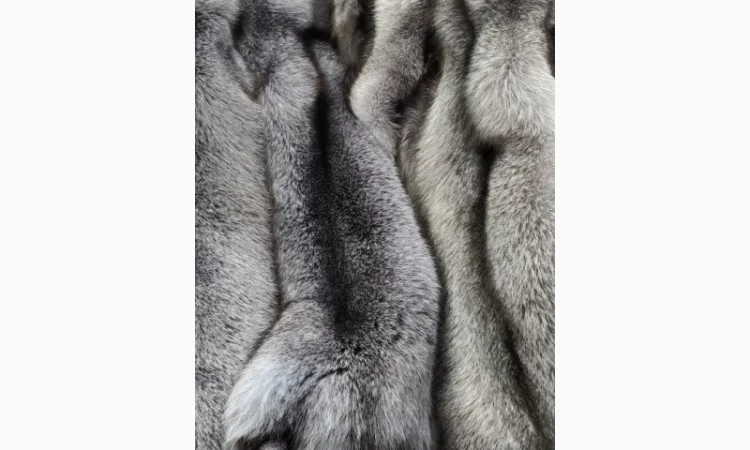 Шкурки Блю Фрост (Бастарди) - фото № 1