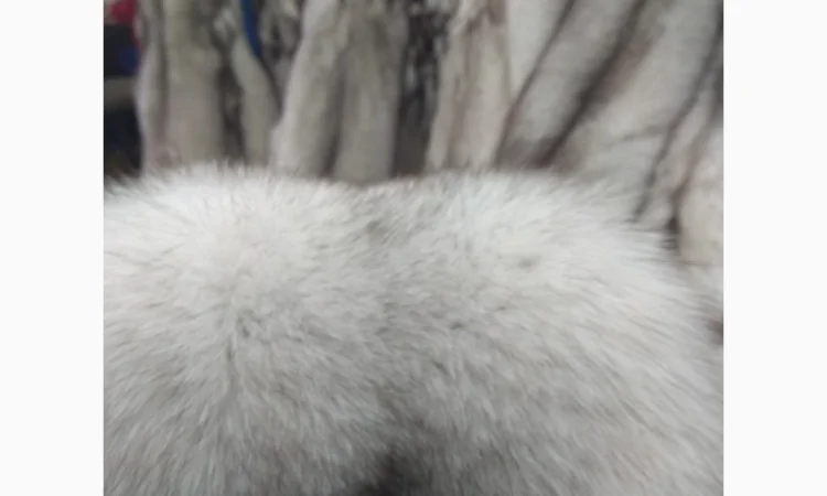 Продаются шкурки польского песца - фото № 2