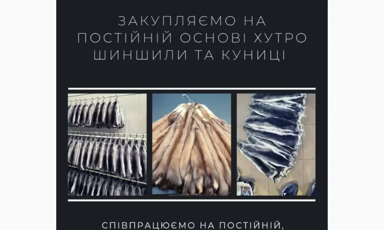 Куплю мех куницы Дорого - фото № 1