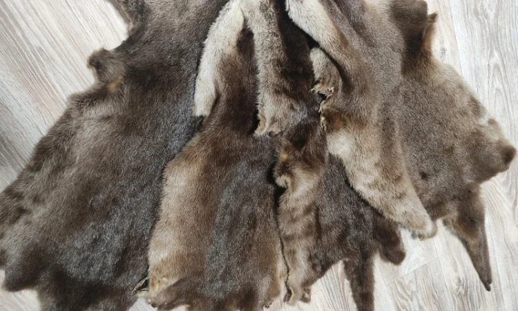 Продаются шкурки лисицы и других животных - фото № 2