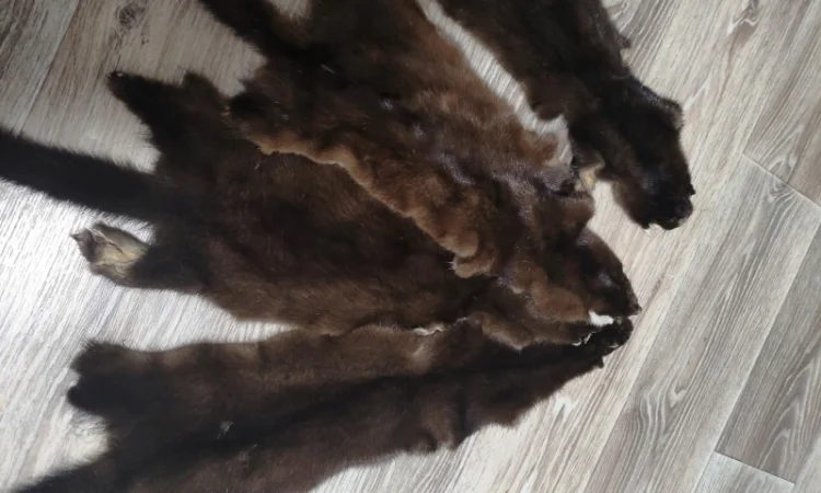 Продам шкіри лисиці, норки, видри і багато інших - фото № 2