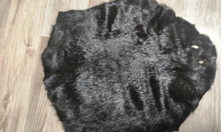 Продам шкіри лисиці, норки, видри і багато інших - фото № 3